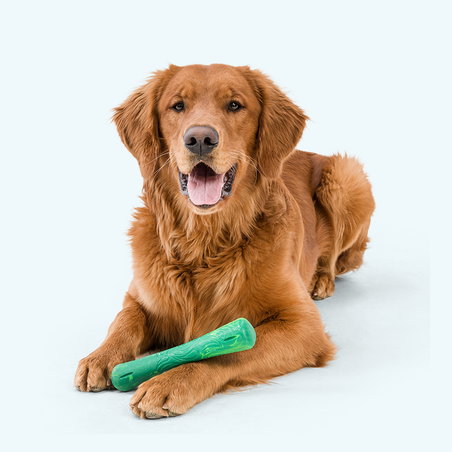 Drifty Interactive Dog Toy Durable Play Premium - close up view
