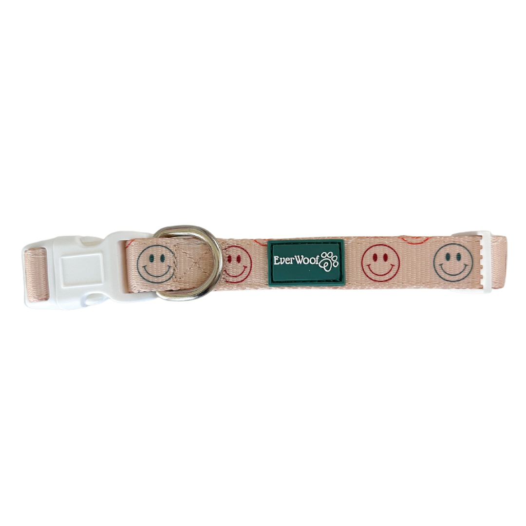 Pet Collar All Smiles Collar for Daily Use for Comfort Essen - main product image for pet collar