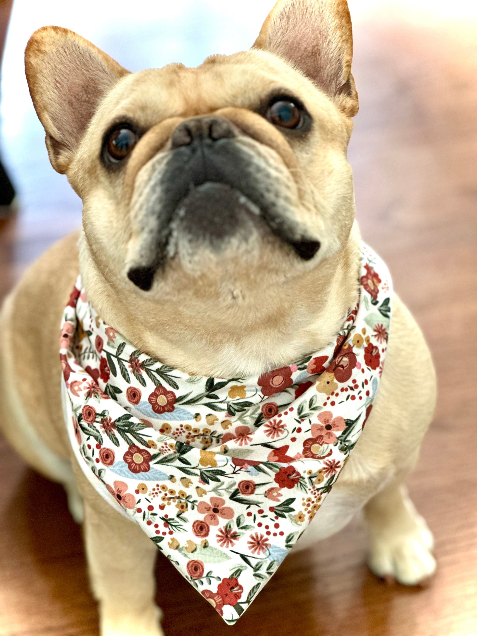 Floral Dog Bandana - detail view