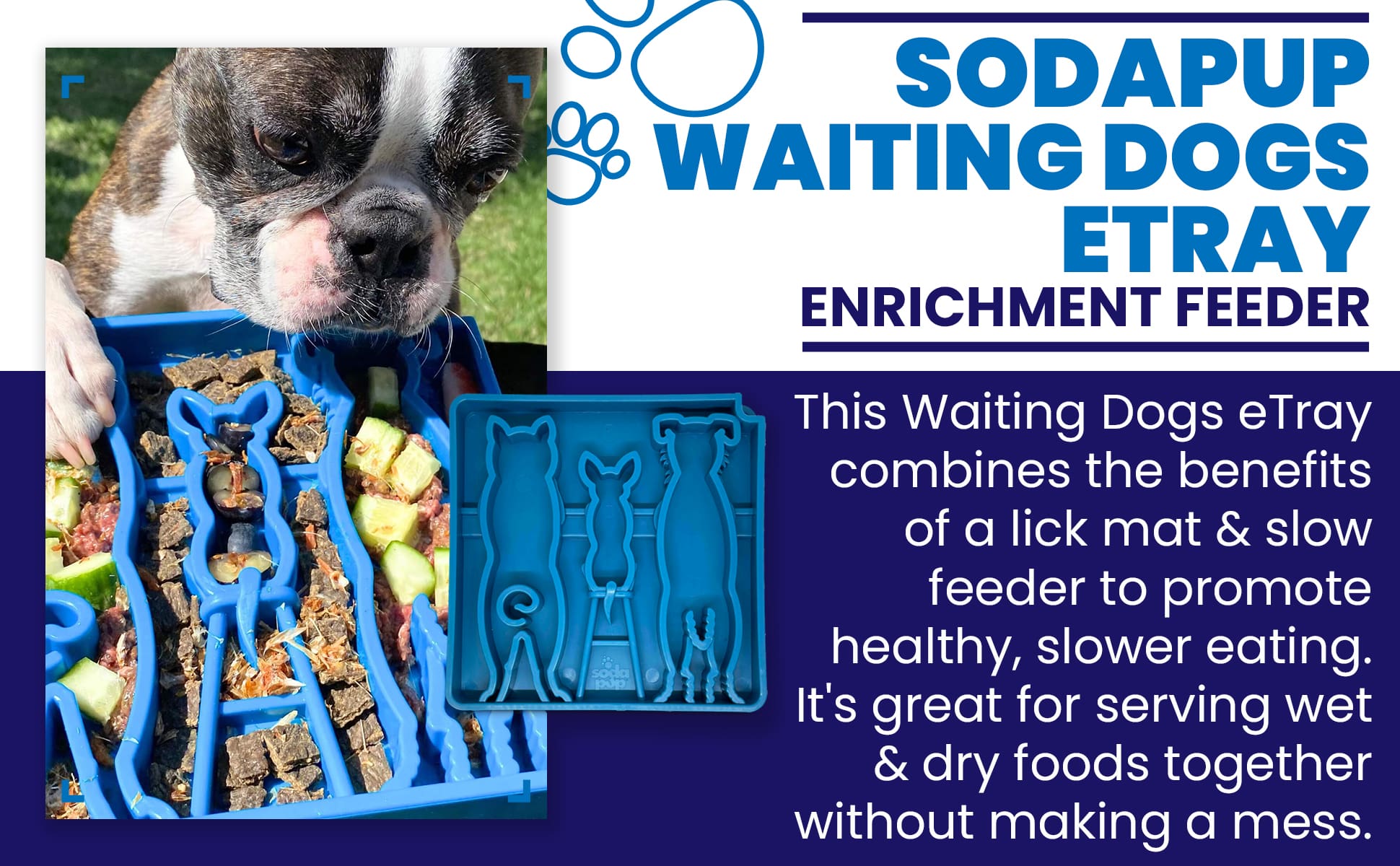 Waiting Dogs Etray Shallow Slow Feeder Bowl For Enrichment - close up view