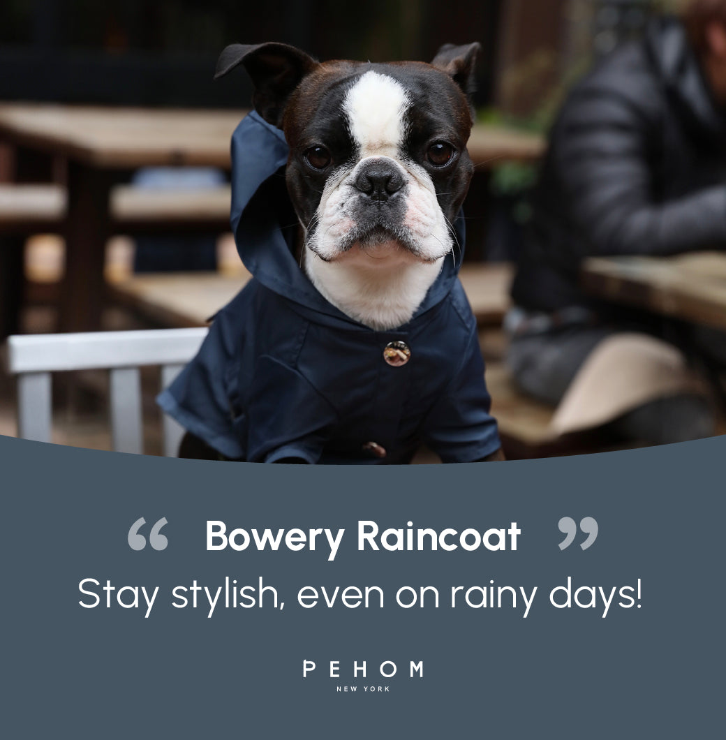 Bowery Raincoat Blue Dog Apparel Premium Pet Supply Premium - gallery image 17