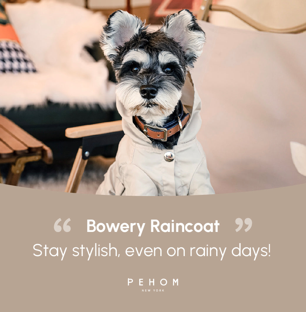 Bowery Raincoat Beige Dog Apparel Premium Pet Supply Premium - gallery image 15