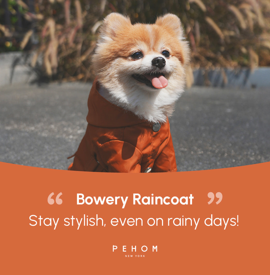 Bowery Raincoat Orange Dog Apparel Premium Pet Supply - gallery image 16