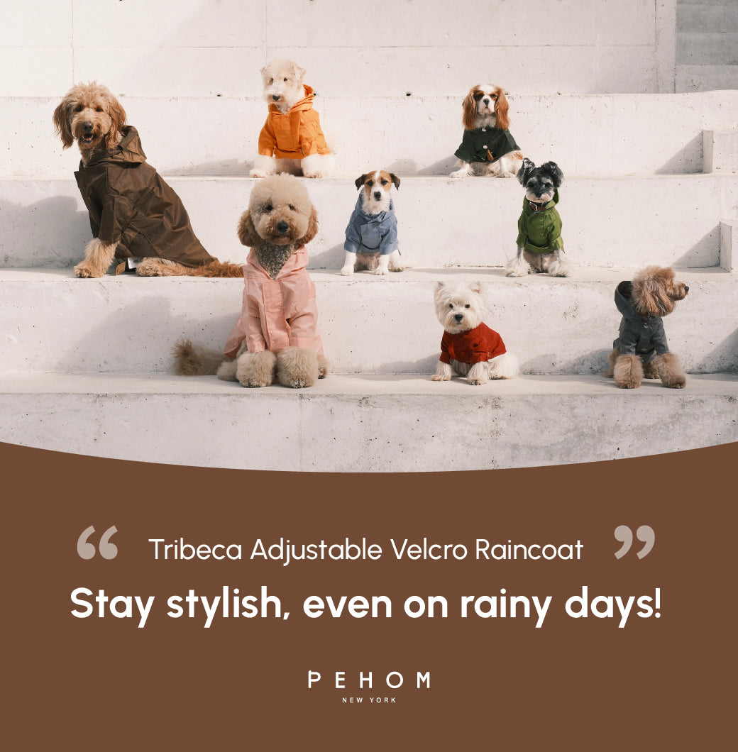 Tribeca Adjustable Velcro Raincoat Choco Dog Apparel Premium - gallery image 19