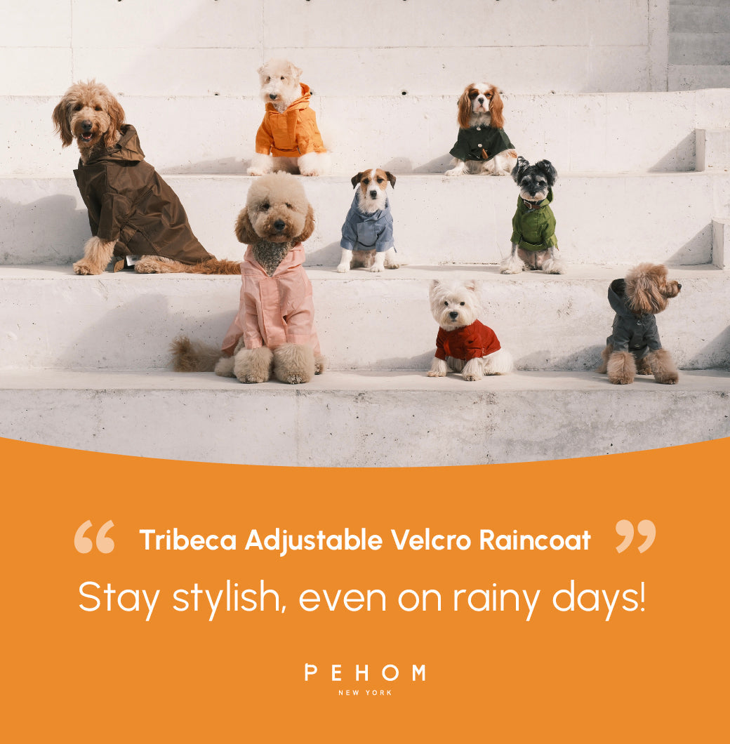Tribeca Adjustable Velcro Raincoat Egg Yolk Dog Apparel Pet - gallery image 19