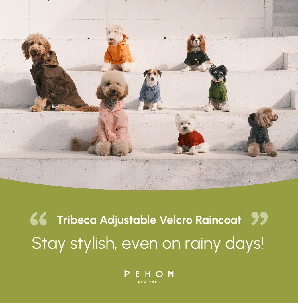 Tribeca Adjustable Velcro Raincoat Olive Dog Apparel Premium - gallery image 18