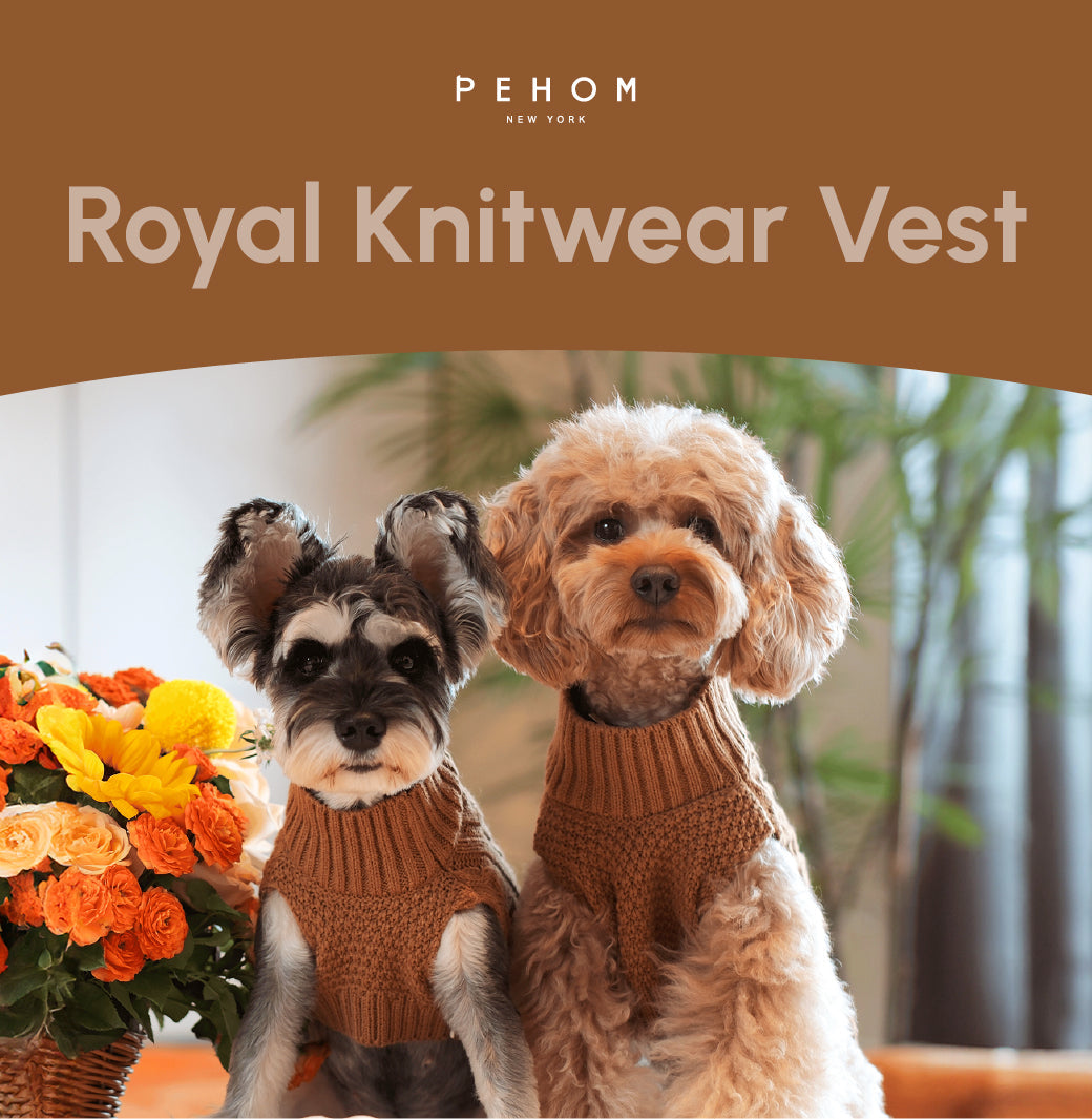 Pet Sweater Vest Toffee Orange Dog Sweaters Premium Pet - gallery image 9