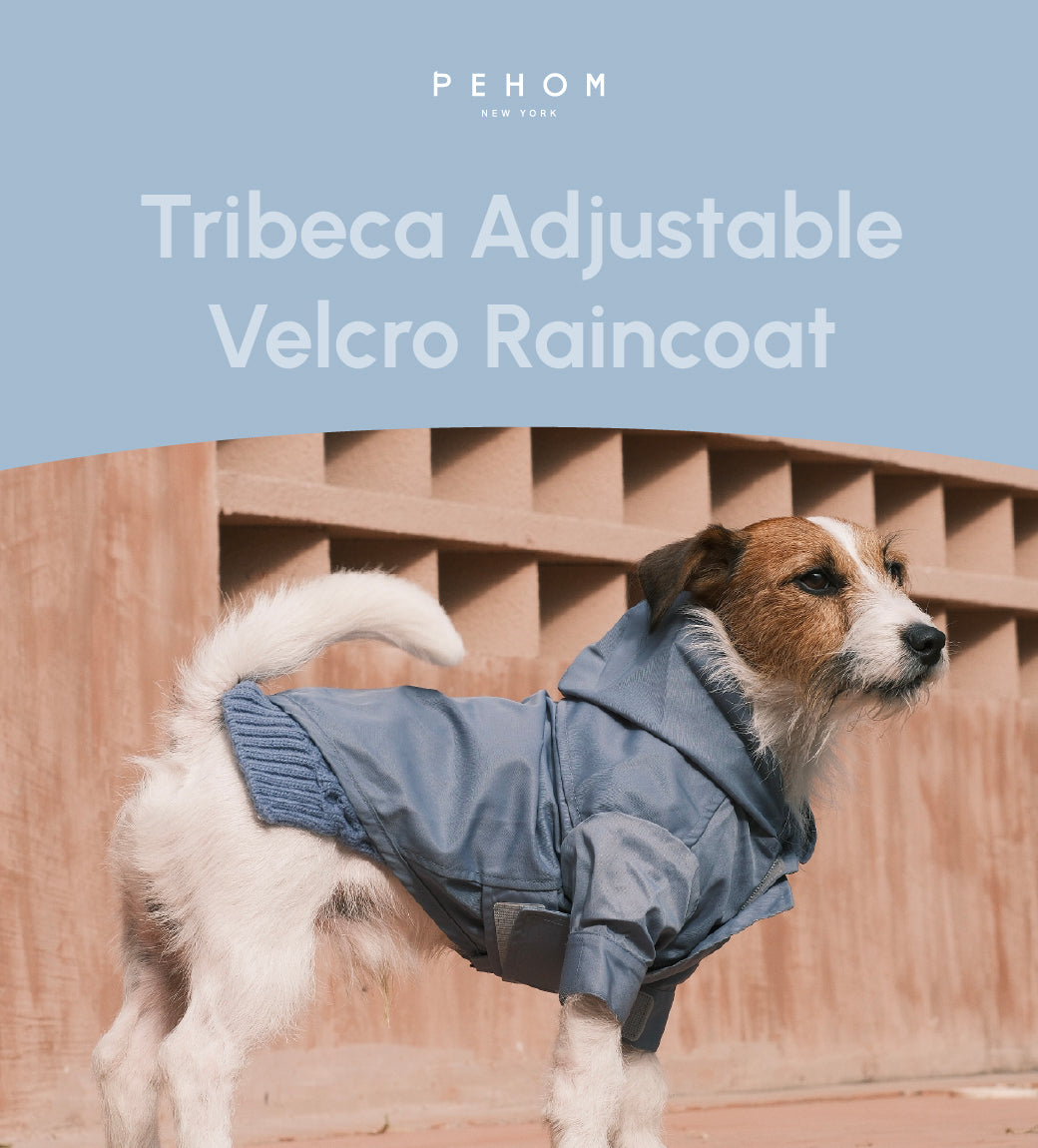 Tribeca Adjustable Velcro Raincoat Light Blue Dog Apparel - gallery image 9