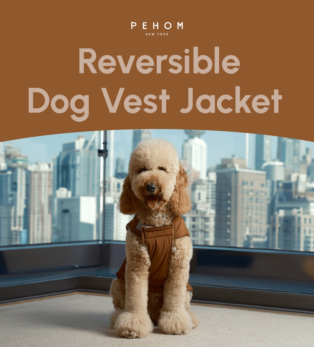 Dog Apparel Active Outdoor Wear Adjustable Grey Comfort - gallery image 9