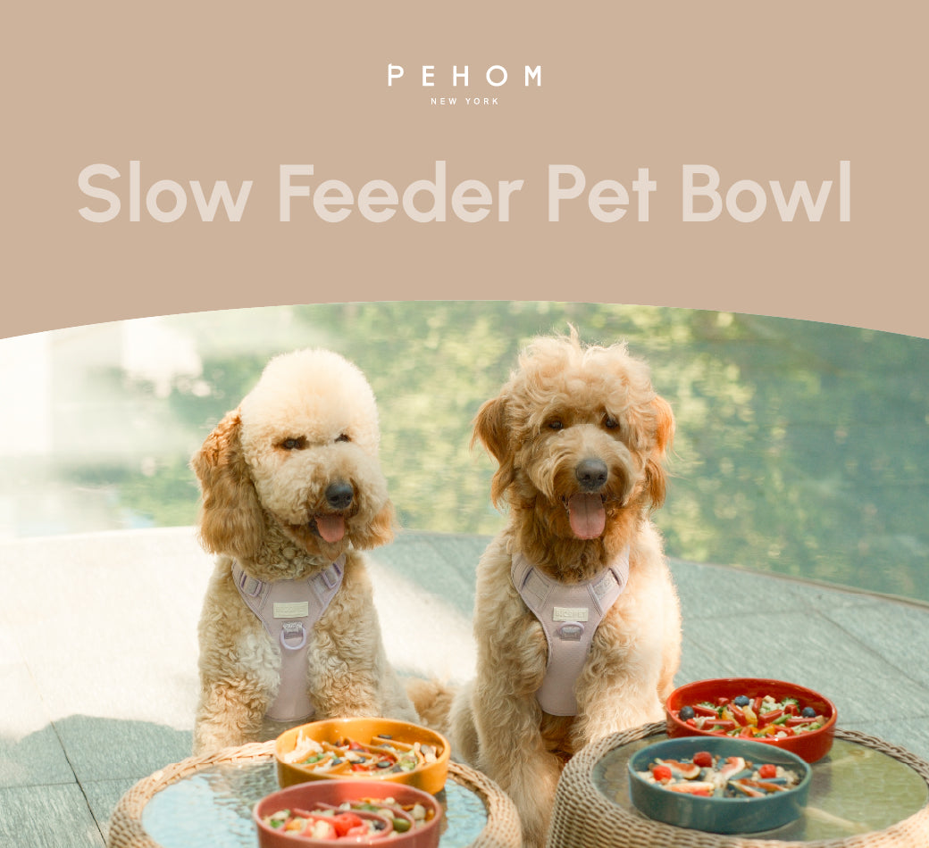 Wave Slow Feeder Dog Bowls Pink Beige Orange Pet Feeding - gallery image 11