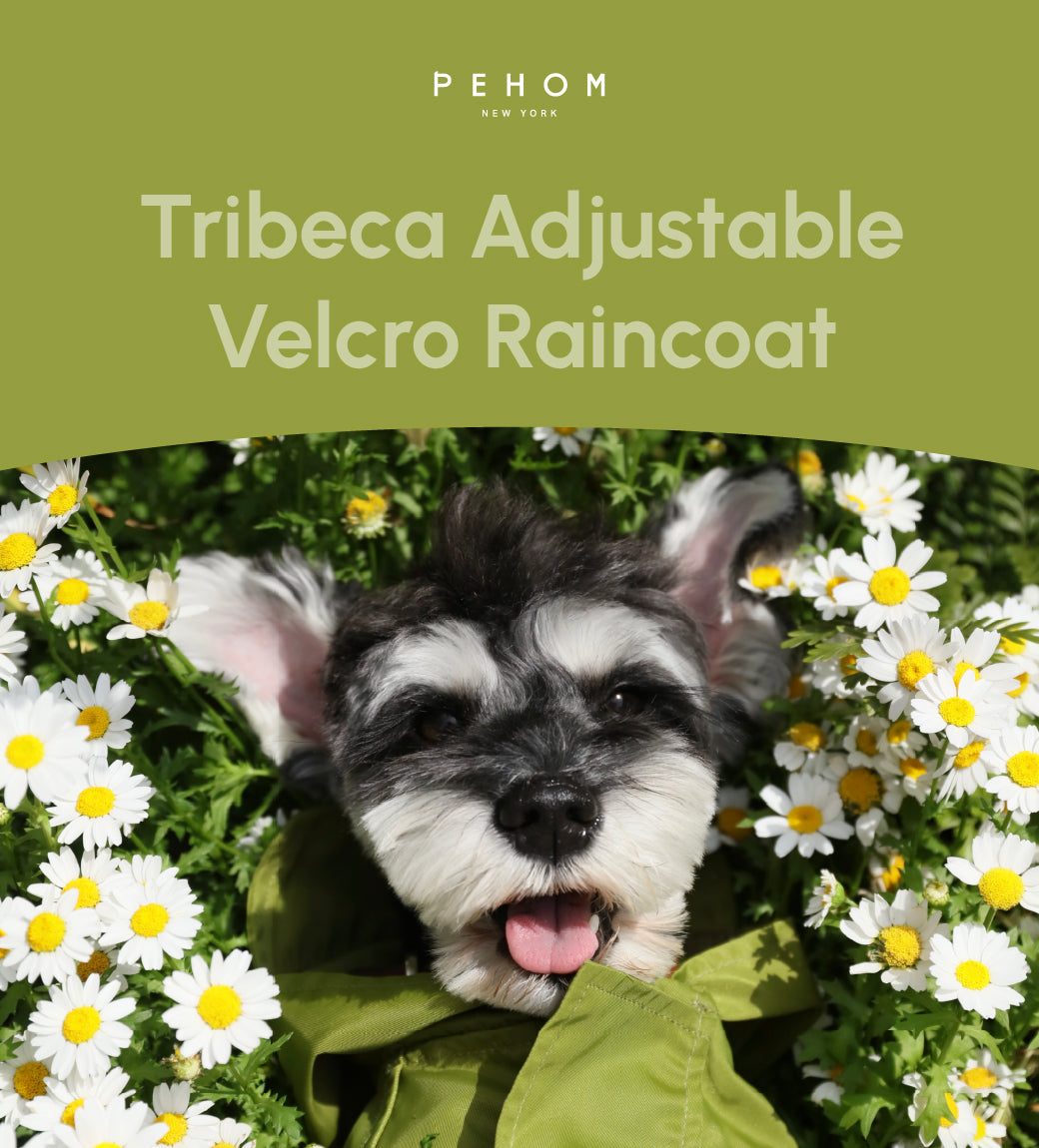 Tribeca Adjustable Velcro Raincoat Olive Dog Apparel Premium - gallery image 7