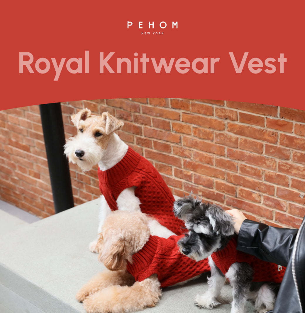 Pet Sweater Vest Red Dog Sweaters Premium Pet Supply Premium - gallery image 8