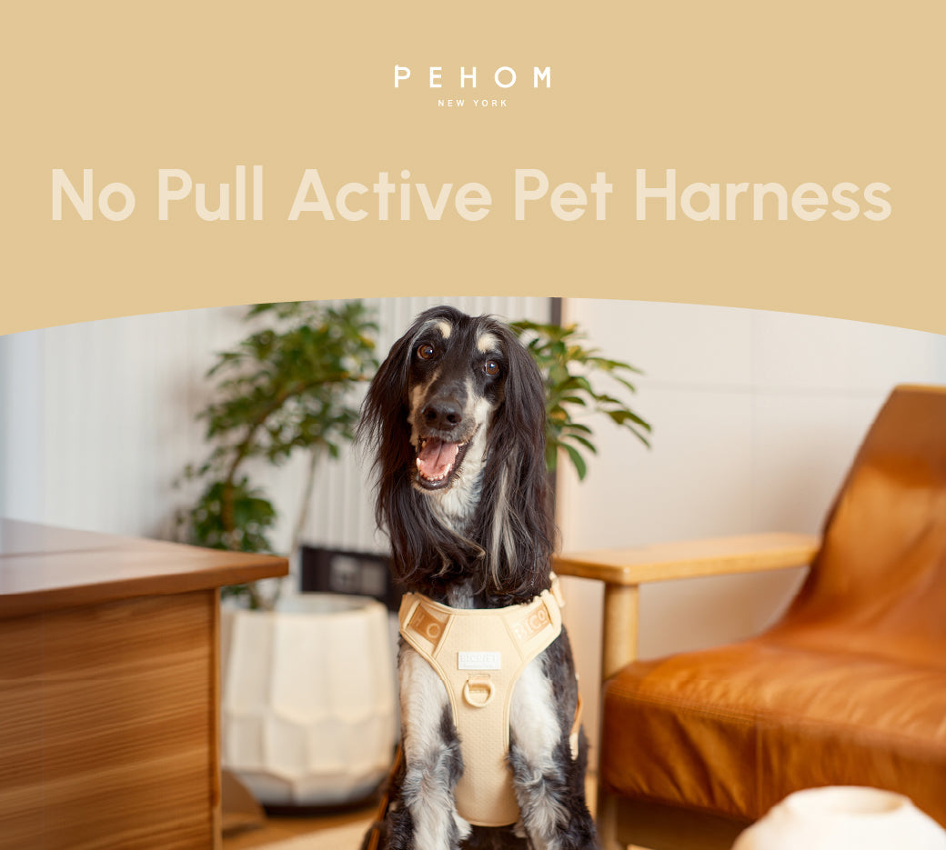 Dog Harness No Pull Active Fit Adjustable APRICOT Walking - gallery image 12