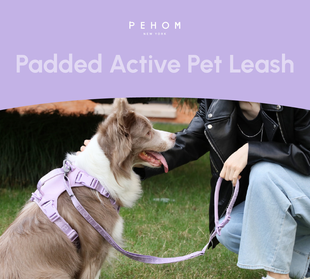 Dog Leash Padded Active Walking Lead Adjustable MINT PURPLE - gallery image 8