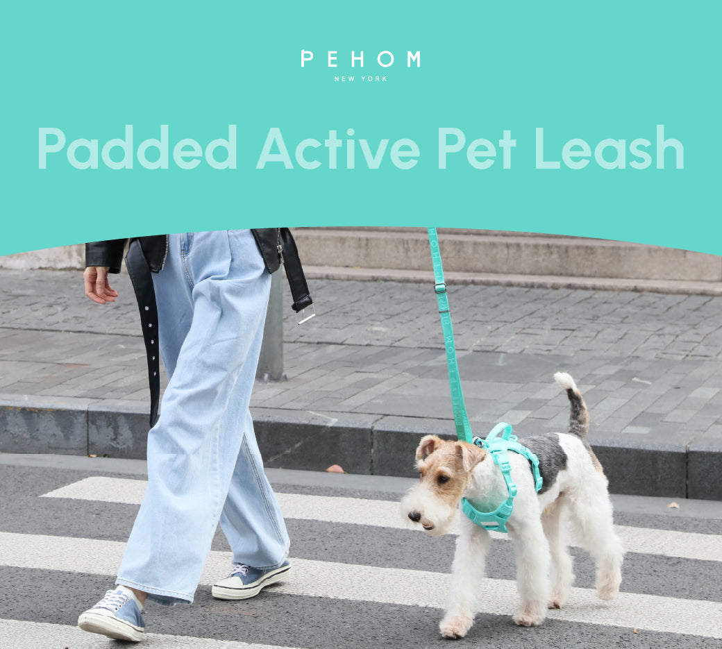 Dog Leash Padded Active Walking Lead Adjustable MINT GREEN - gallery image 9