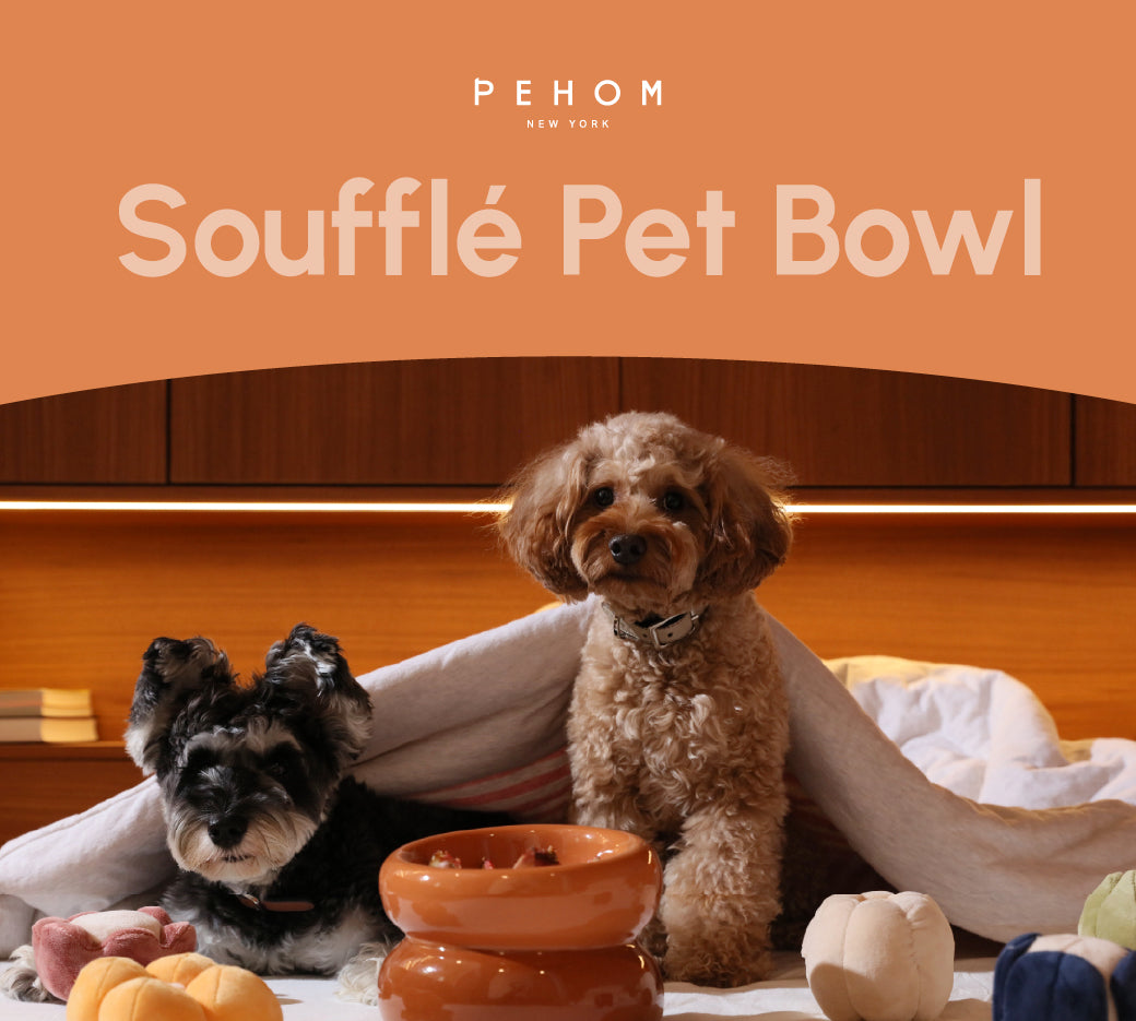 Souffle Pet Bowl Amber Orange Pet Feeding Hydration Supply - gallery image 6