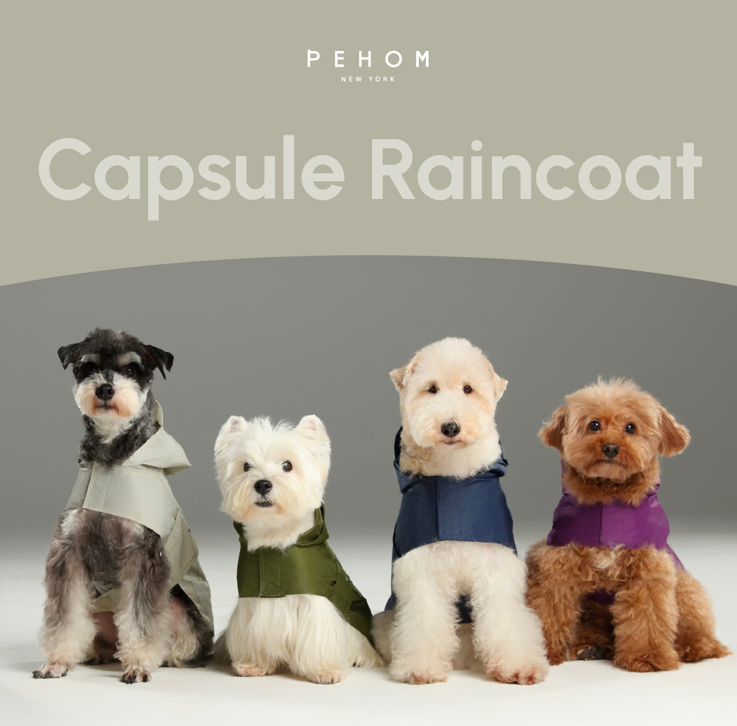 Capsule Raincoat Blue Dog Apparel Premium Pet Supply Premium - gallery image 12