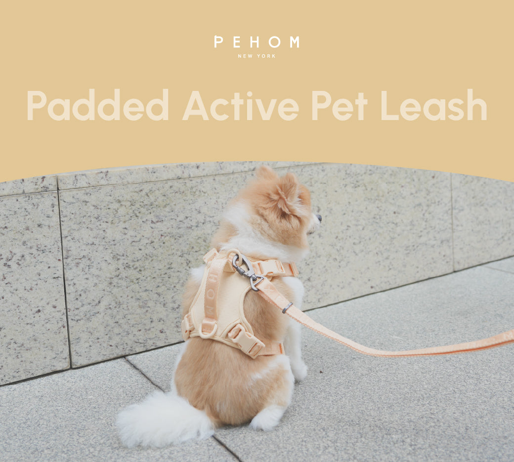 Dog Leash Padded Active Walking Lead Adjustable APRICOT - gallery image 8
