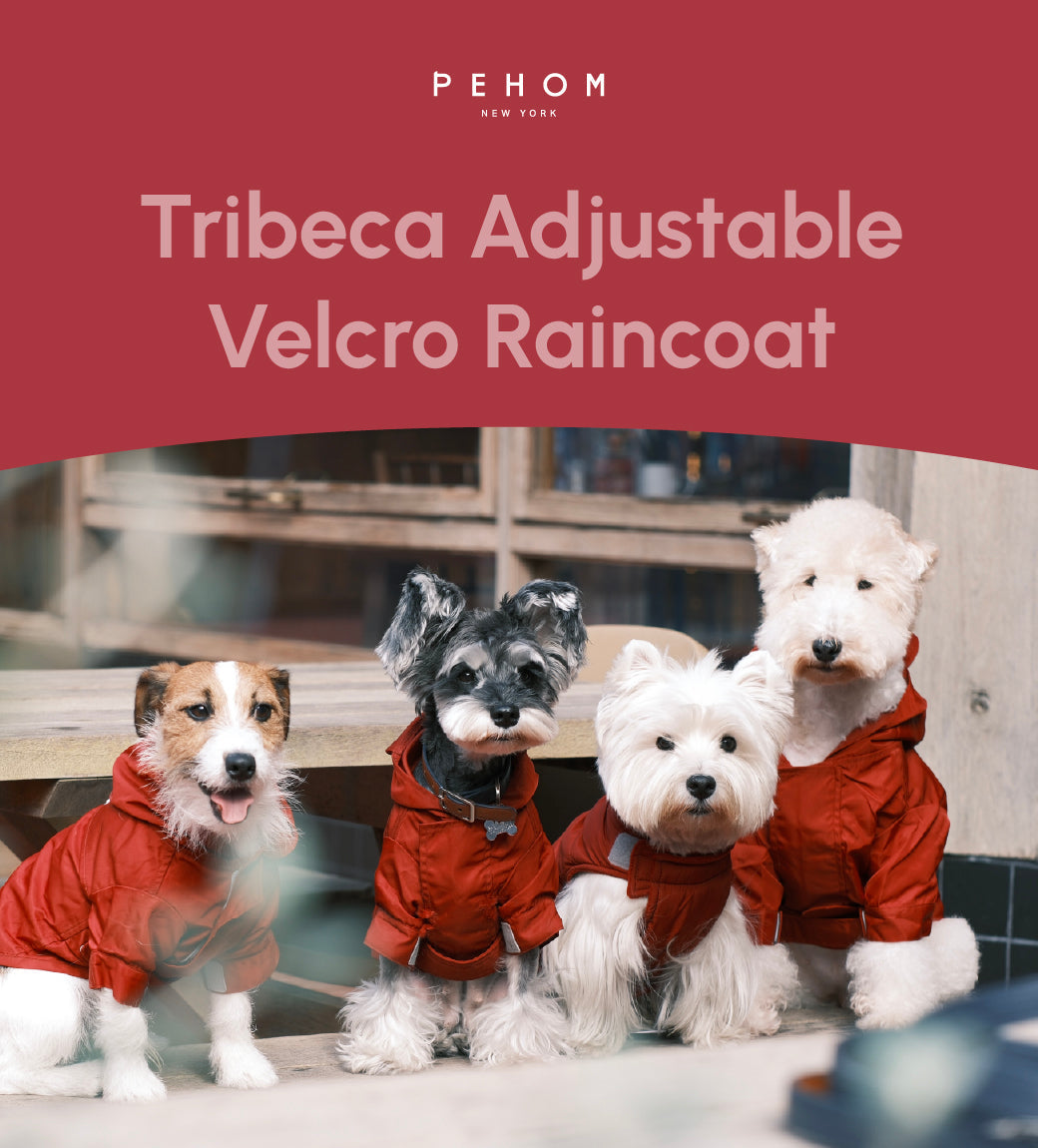Tribeca Adjustable Velcro Raincoat Burgundy Dog Apparel Pet - gallery image 6