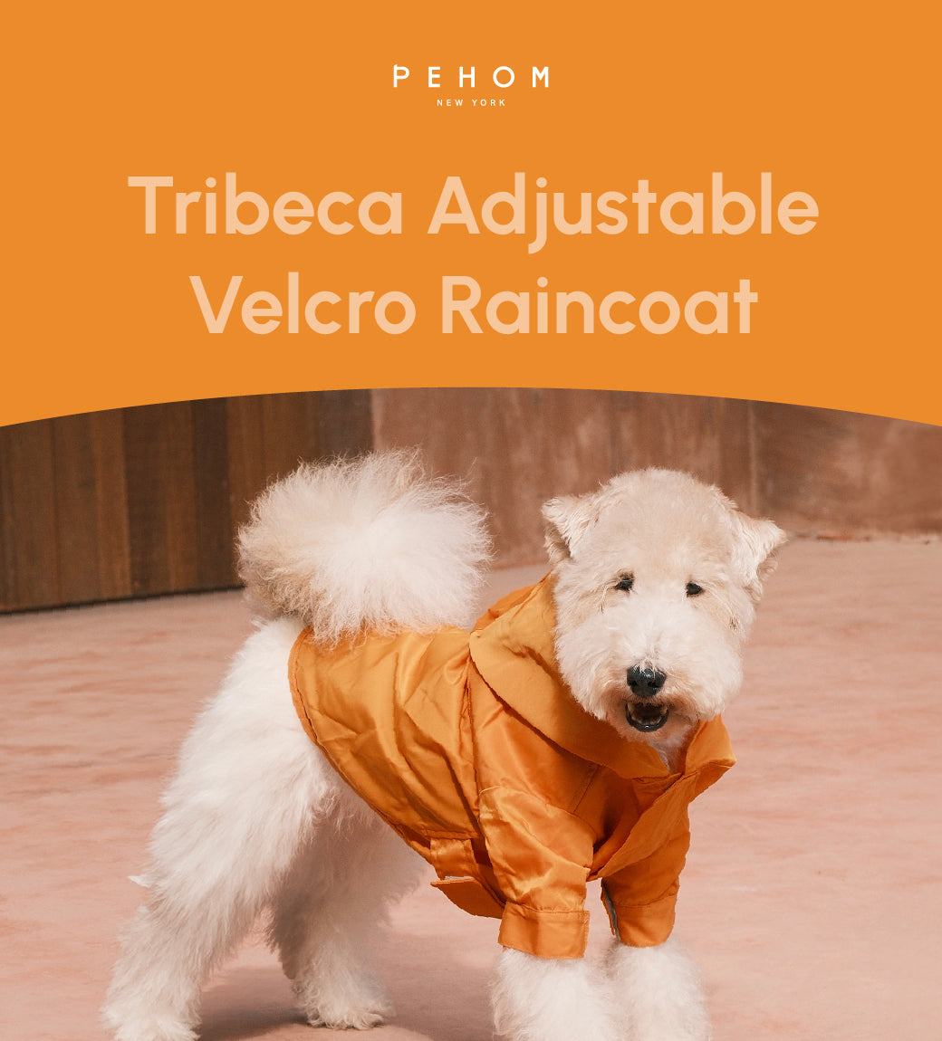 Tribeca Adjustable Velcro Raincoat Egg Yolk Dog Apparel Pet - gallery image 8