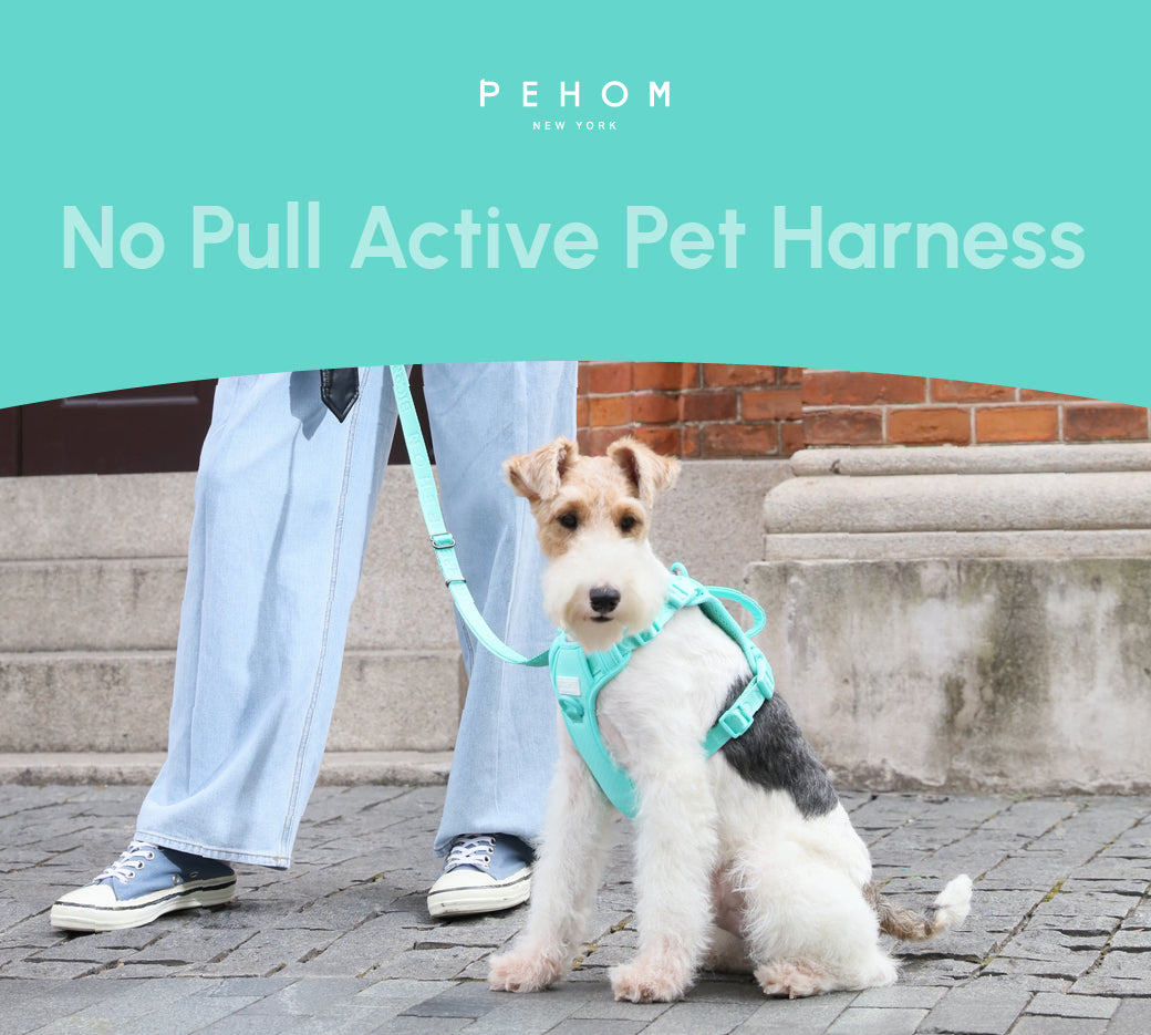 Dog Harness No Pull Active Fit Adjustable MINT GREEN Walking - gallery image 11