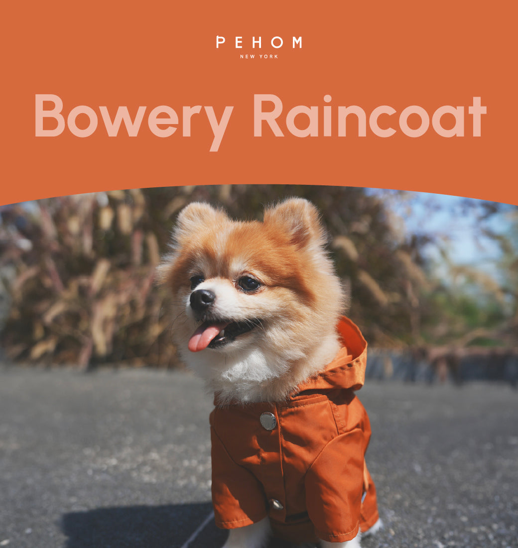 Bowery Raincoat Orange Dog Apparel Premium Pet Supply - gallery image 6