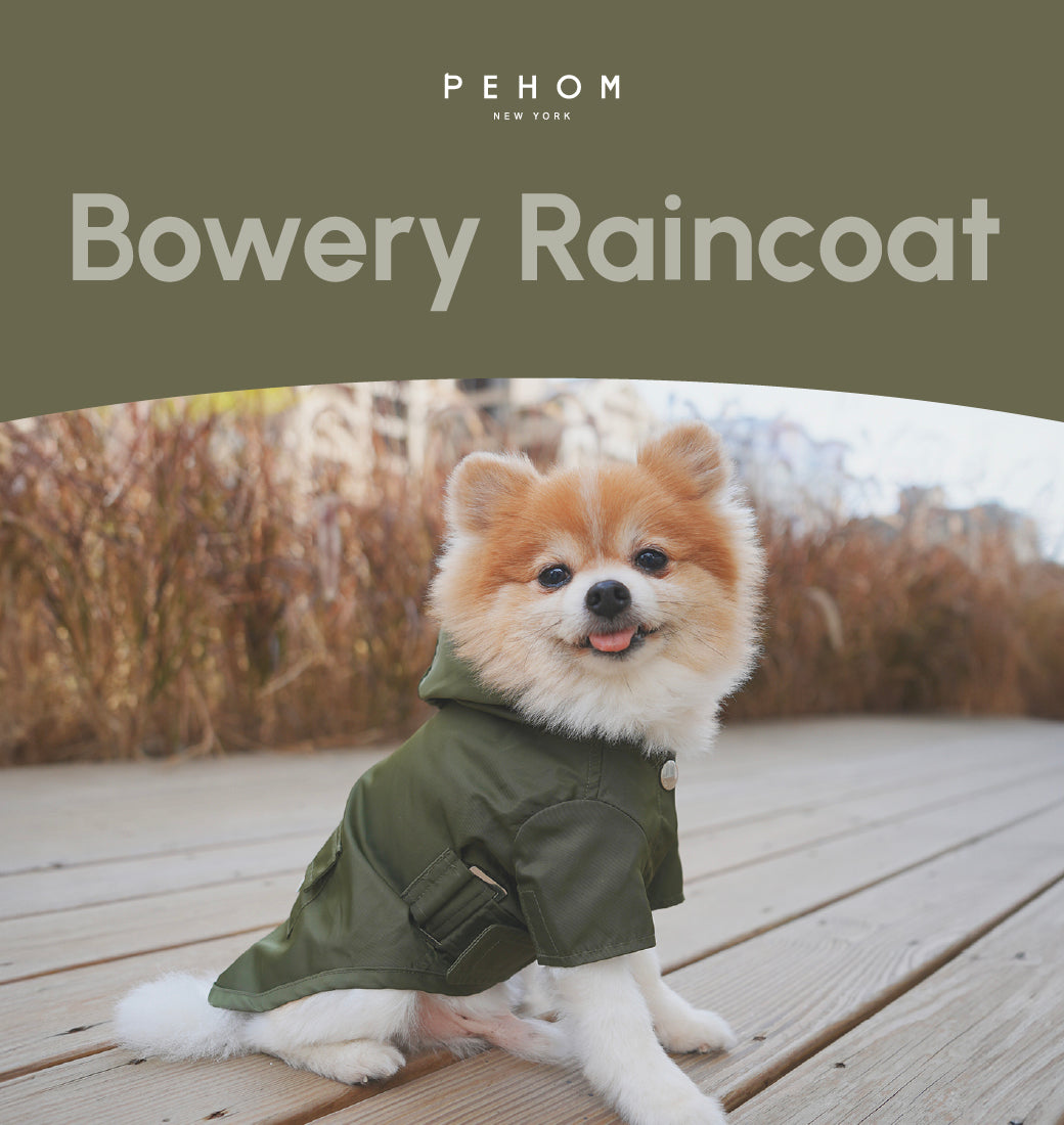 Bowery Raincoat Green Dog Apparel Premium Pet Supply Premium - gallery image 6