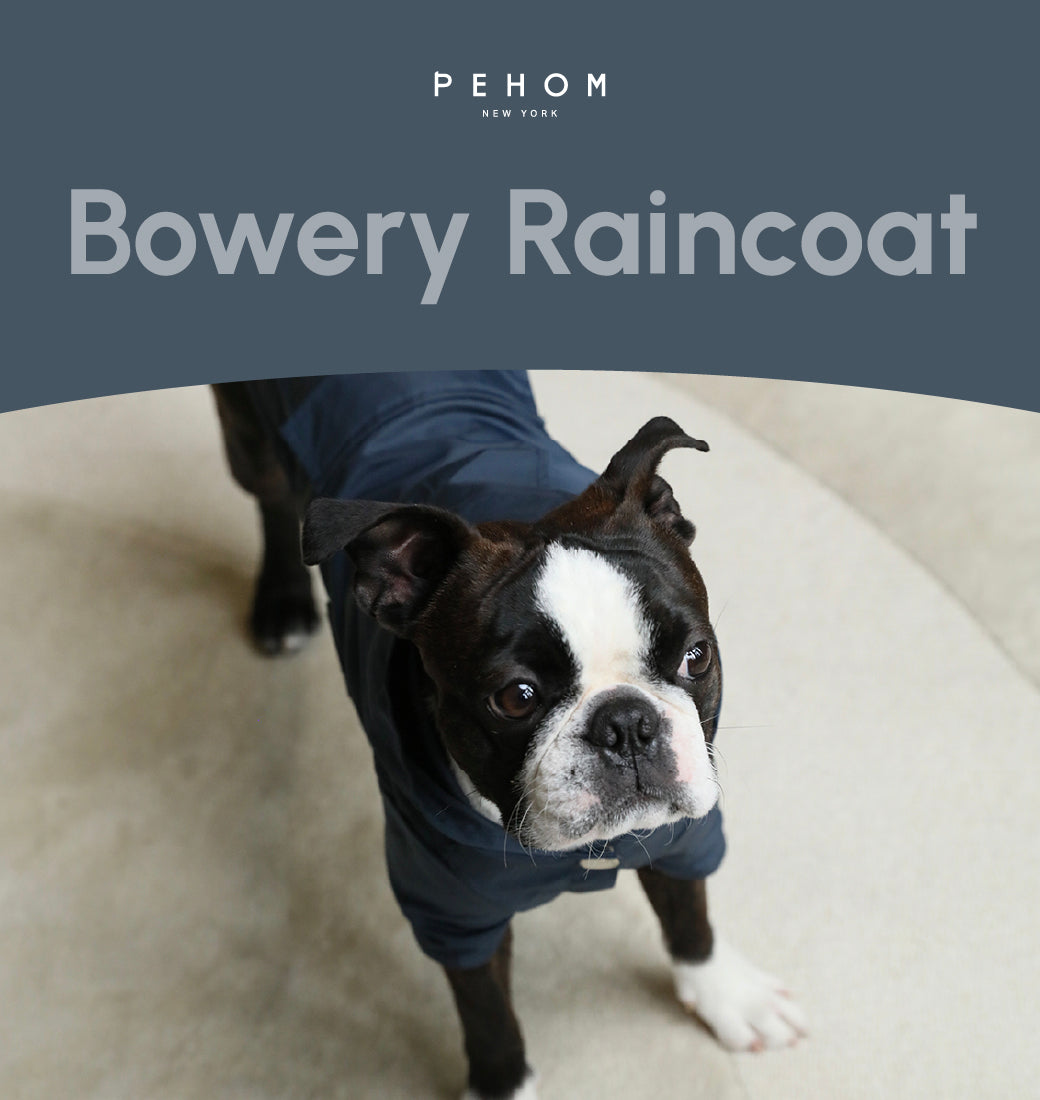 Bowery Raincoat Blue Dog Apparel Premium Pet Supply Premium - gallery image 7