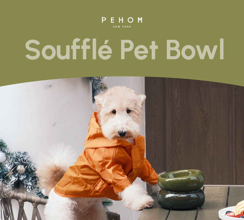 Pet Feeders & Bowls Adjustable Green Premium Pet Supply - gallery image 7