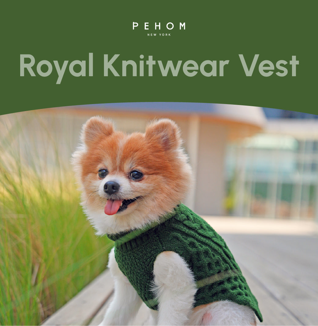 Pet Sweater Vest Green Dog Sweaters Premium Pet Supply - gallery image 8