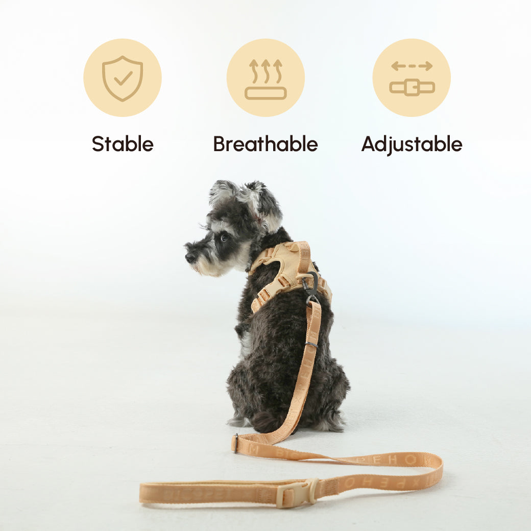 Dog Leash Padded Active Walking Lead Adjustable APRICOT - gallery image 9