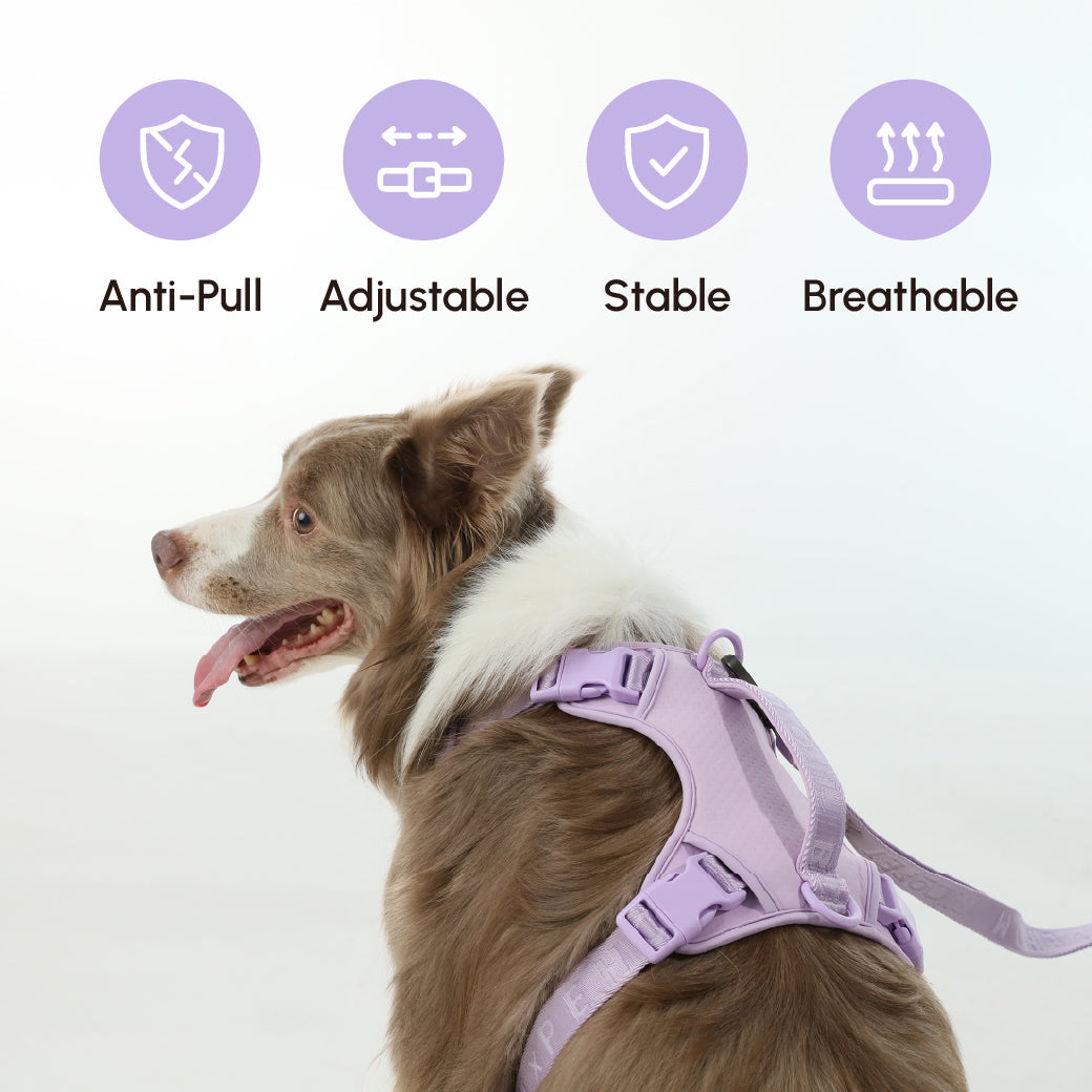 Dog Harness No Pull Active Fit Adjustable MINT PURPLE Walkin - gallery image 10