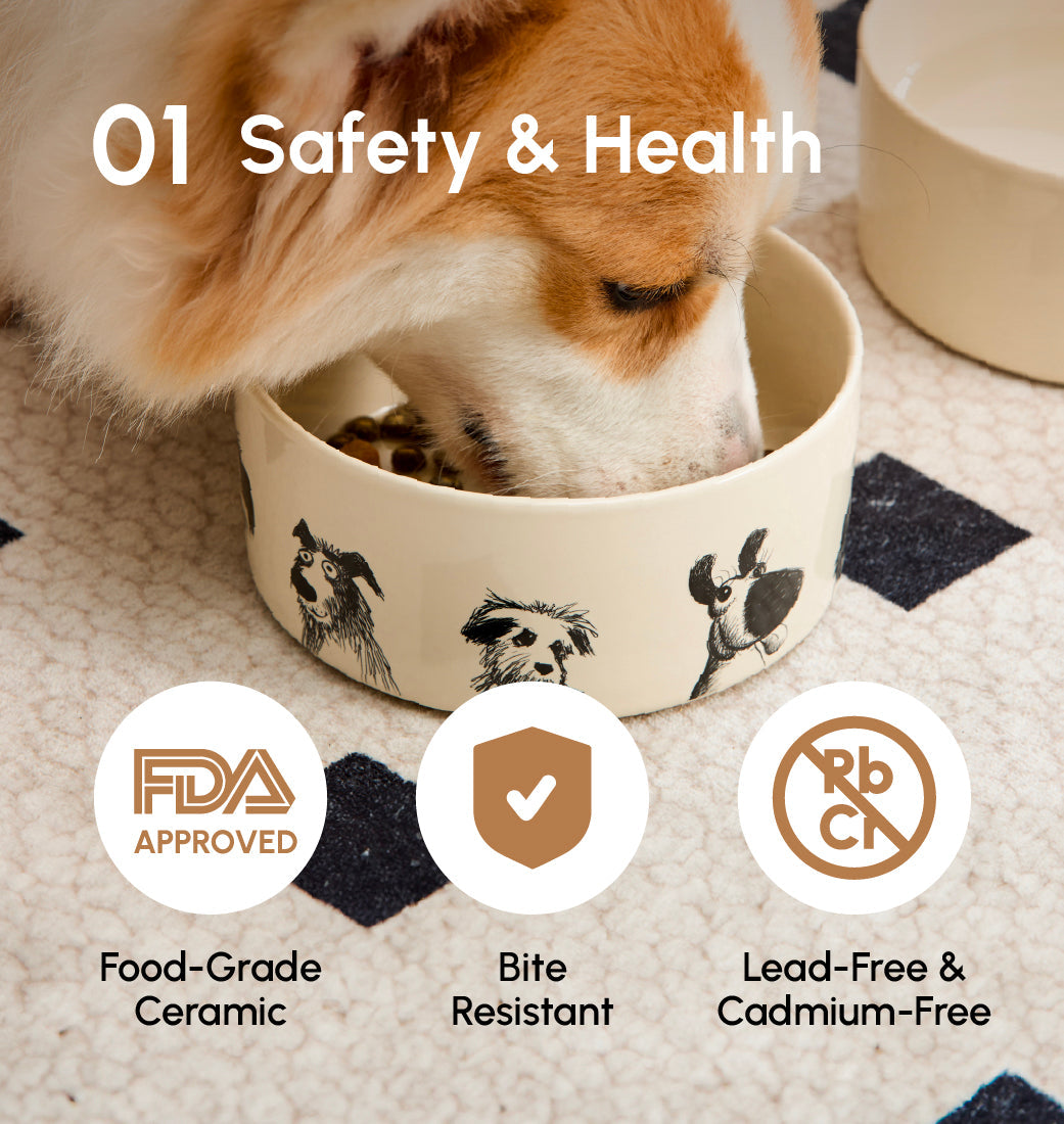 Derpy Bowl Pet Feeding Hydration Supply Premium - gallery image 7