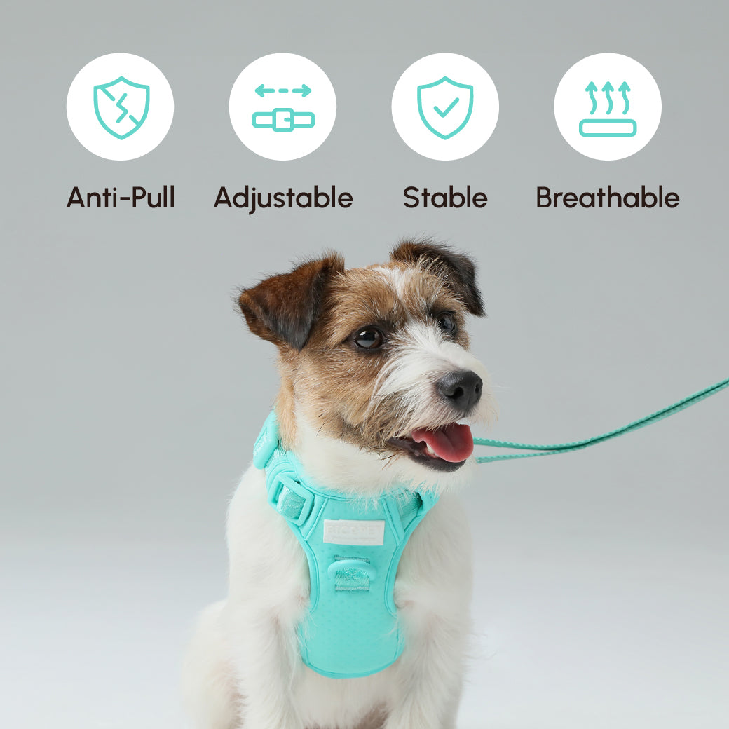 Dog Harness No Pull Active Fit Adjustable MINT GREEN Walking - gallery image 12