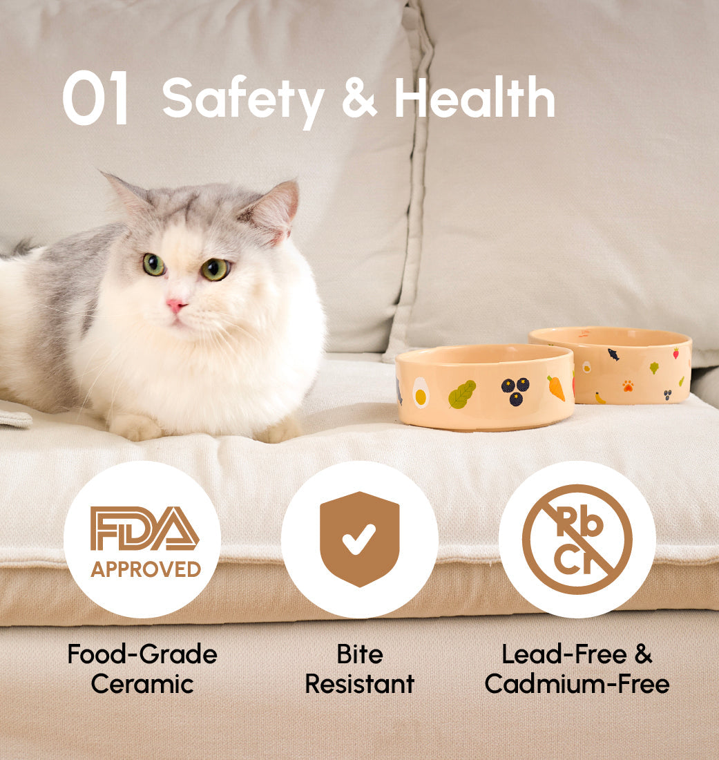 Nomnom Bowl Pet Feeding Hydration Supply Premium - gallery image 13