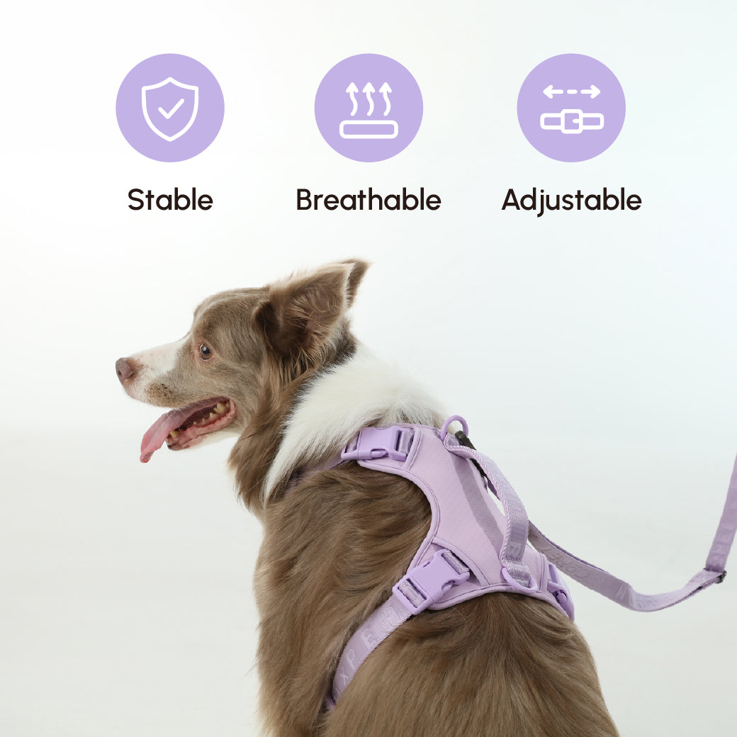 Dog Leash Padded Active Walking Lead Adjustable MINT PURPLE - gallery image 9