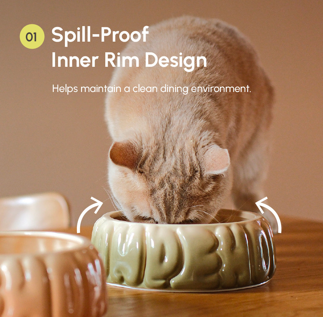 Puff Pet Bowl Gradient Olive Pet Feeding Hydration Supply - gallery image 10
