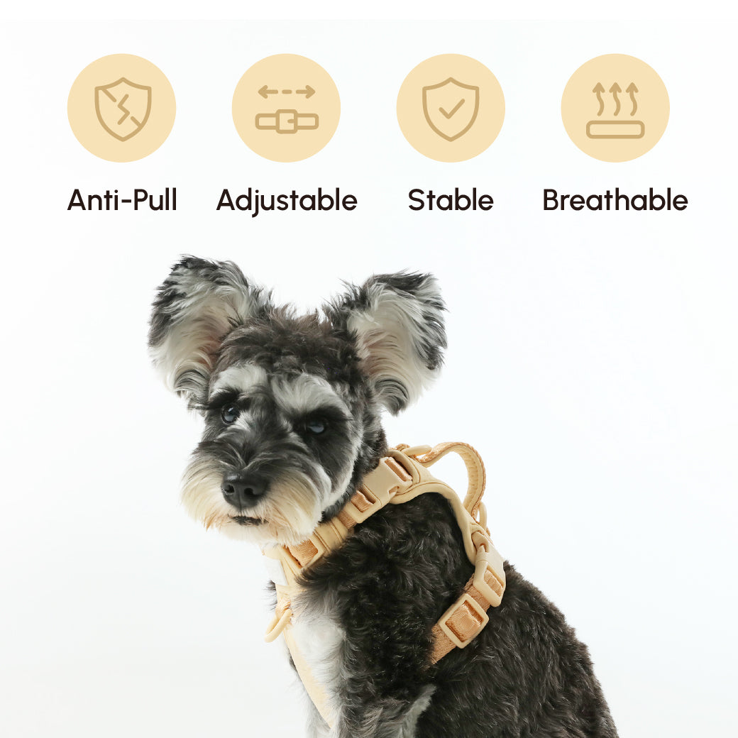 Dog Harness No Pull Active Fit Adjustable APRICOT Walking - gallery image 13