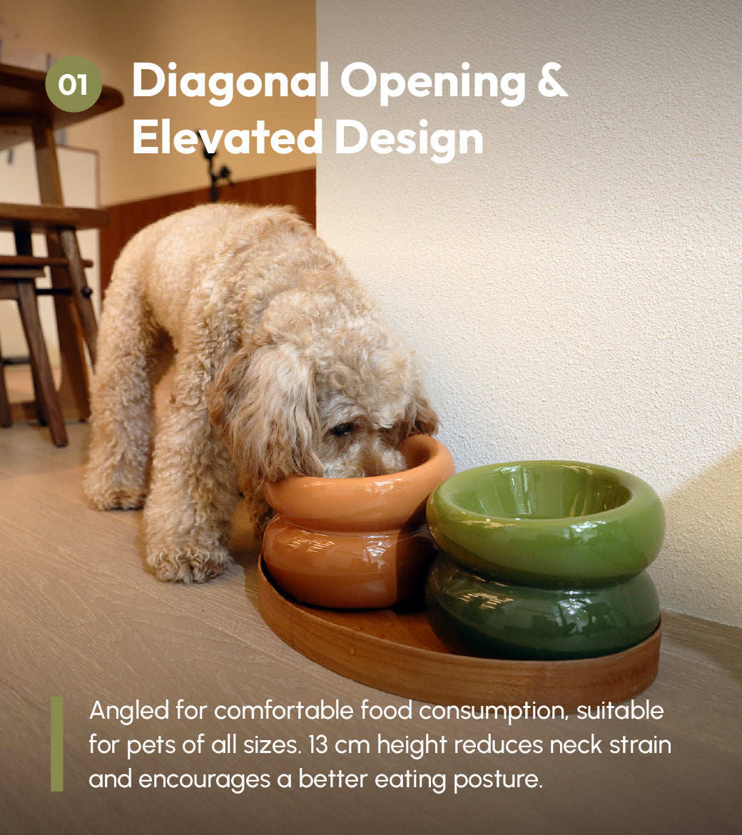 Pet Feeders & Bowls Adjustable Green Premium Pet Supply - gallery image 8