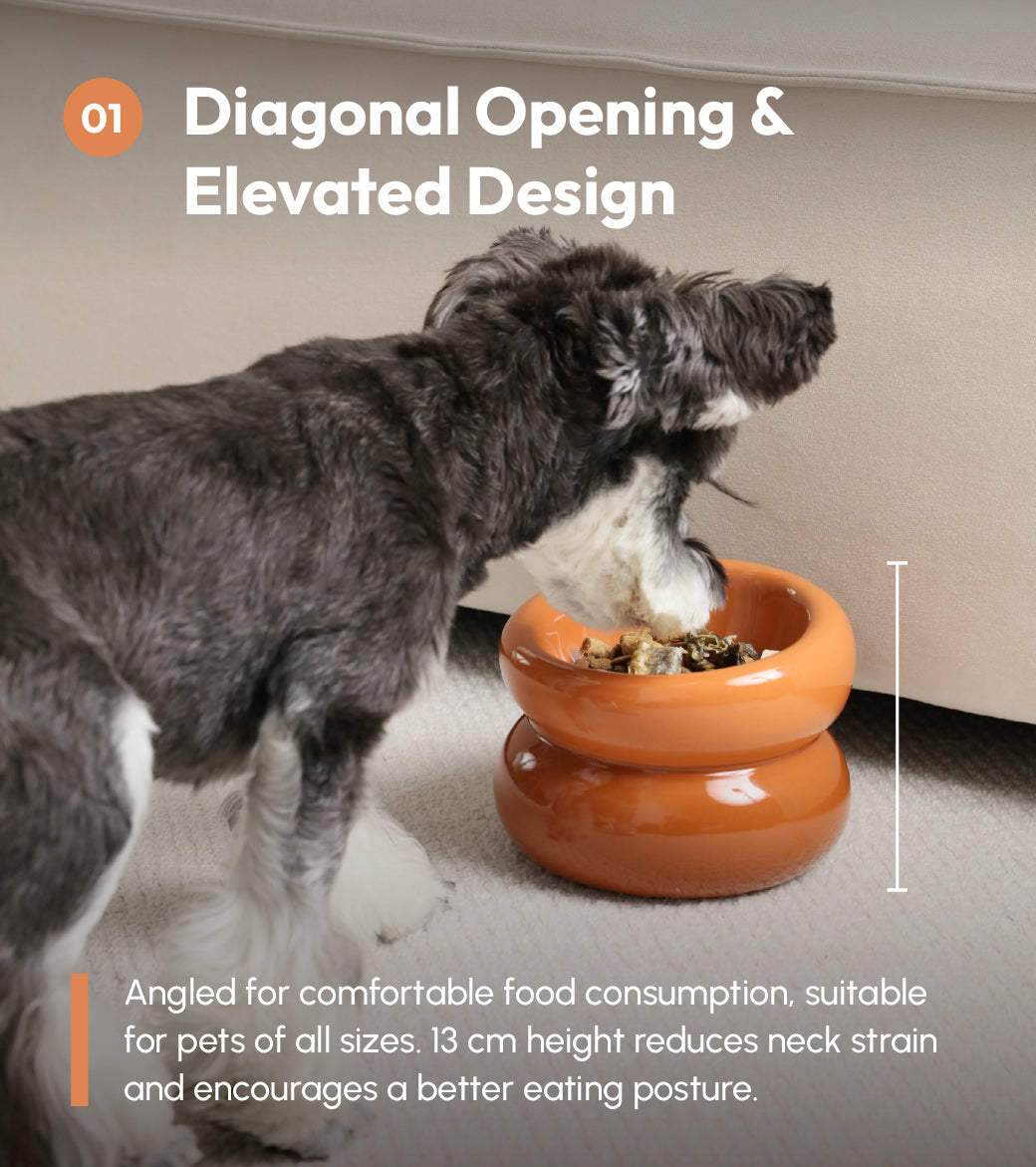 Souffle Pet Bowl Amber Orange Pet Feeding Hydration Supply - gallery image 7