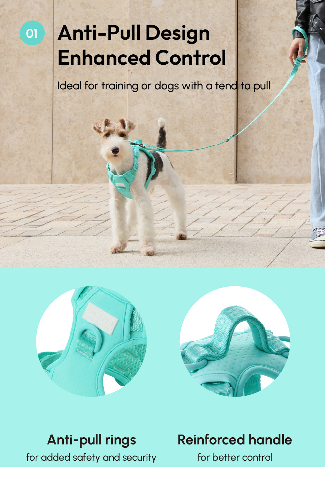 Dog Harness No Pull Active Fit Adjustable MINT GREEN Walking - gallery image 13