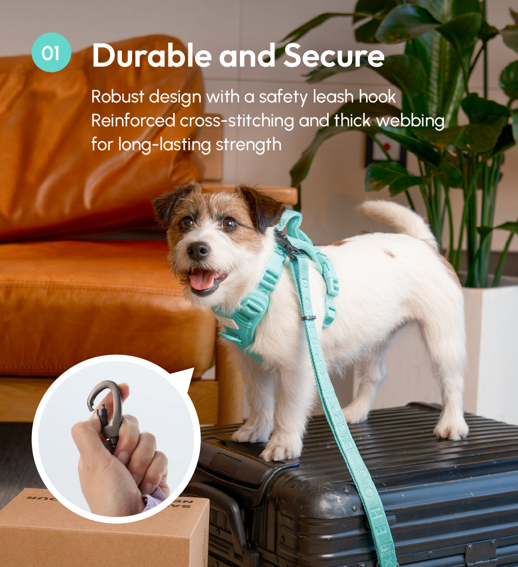 Dog Leash Padded Active Walking Lead Adjustable MINT GREEN - gallery image 11