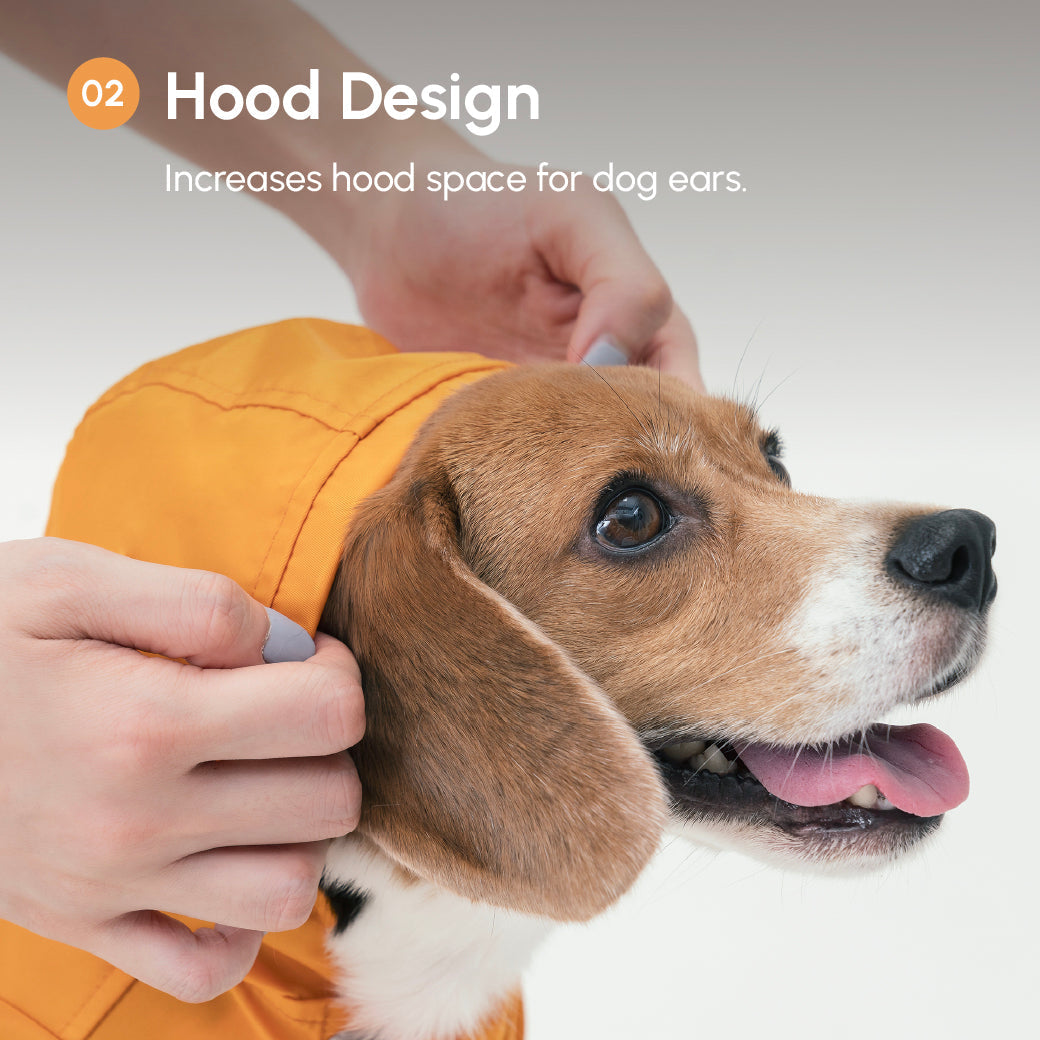Bowery Raincoat Blue Dog Apparel Premium Pet Supply Premium - gallery image 9