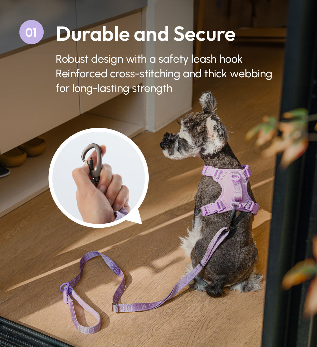 Dog Leash Padded Active Walking Lead Adjustable MINT PURPLE - gallery image 10