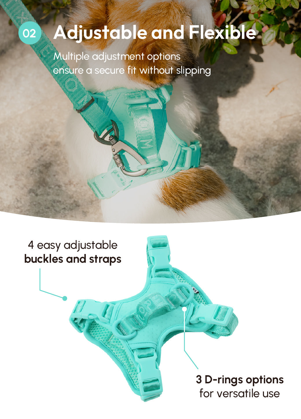 Dog Harness No Pull Active Fit Adjustable MINT GREEN Walking - gallery image 14