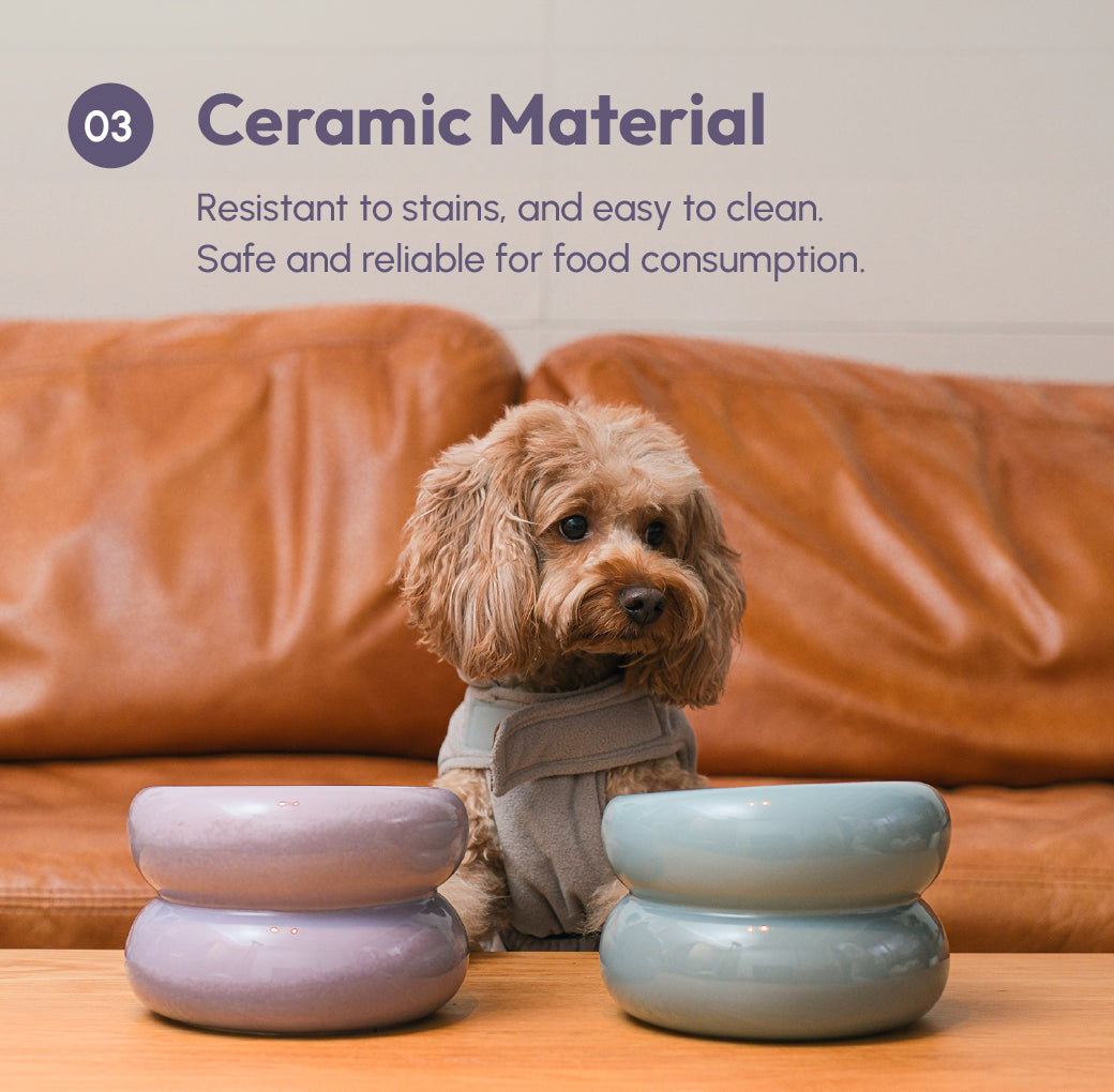Pet Feeders & Bowls Adjustable Purple Premium Pet Supply - gallery image 11