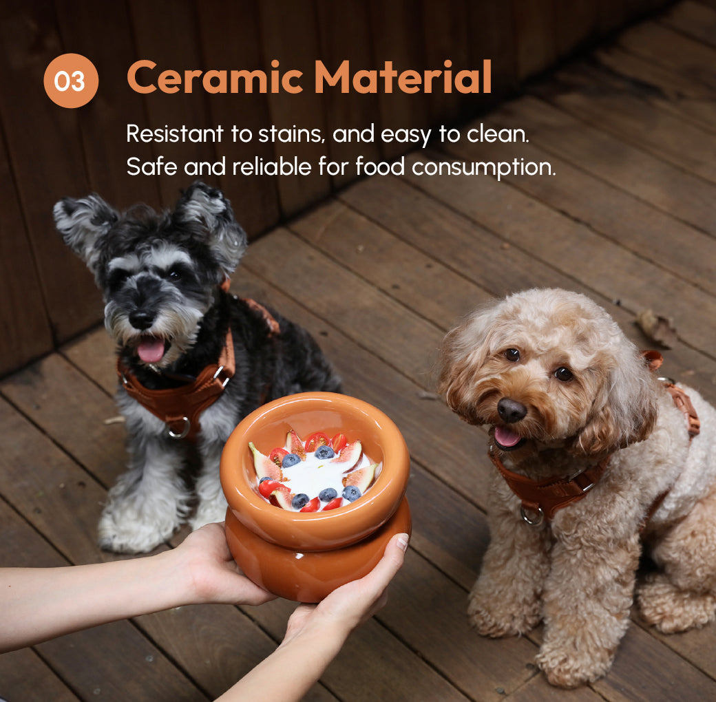 Souffle Pet Bowl Amber Orange Pet Feeding Hydration Supply - gallery image 9
