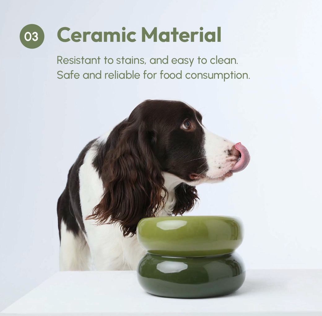 Pet Feeders & Bowls Adjustable Green Premium Pet Supply - gallery image 10