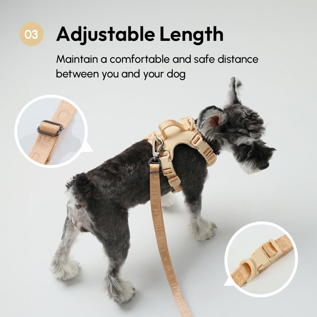Dog Leash Padded Active Walking Lead Adjustable APRICOT - gallery image 12