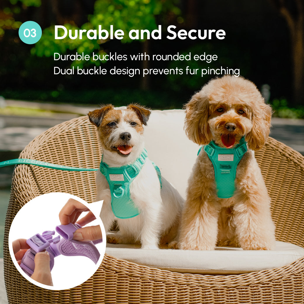Dog Harness No Pull Active Fit Adjustable MINT GREEN Walking - gallery image 15